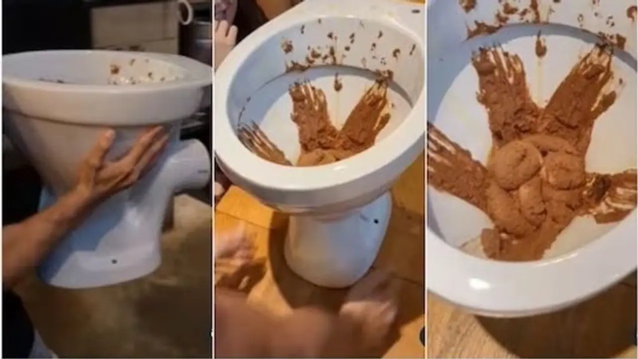 इस रेस्टोरेंट में टॉयलेट में परोसी जाती है आइसक्रीम, बड़े मजे से ग्राहक उठाते हैं लुत्फ
