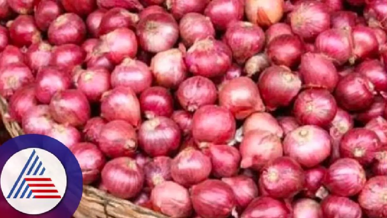 ಚಿಕ್ಕಬಳ್ಳಾಪುರ: ಗುಲಾಬಿ ಈರುಳ್ಳಿಗೆ ಶೇ.40 ತೆರಿಗೆ: ಸಂಕಷ್ಟದಲ್ಲಿ ರೈತ! ಚಿಕ್ಕಬಳ್ಳಾಪುರ: ಗುಲಾಬಿ ಈರುಳ್ಳಿಗೆ ಶೇ.40 ತೆರಿಗೆ: ಸಂಕಷ್ಟದಲ್ಲಿ ರೈತ!