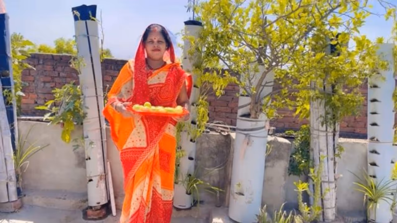 How did Bihar’s Sunita Devi become independent through vertical farming at her home?