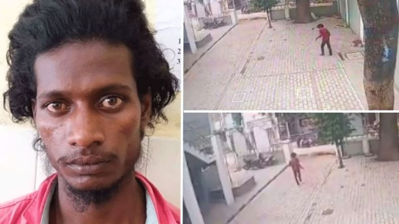 கர்நாடக சிறையில் இருந்து தப்பியோடிய கைதி.. கடைசியில் போலீசாருக்கு காத்திருந்த அதிர்ச்சி | வைரல் வீடியோ கர்நாடக சிறையில் இருந்து தப்பியோடிய கைதி.. கடைசியில் போலீசாருக்கு காத்திருந்த அதிர்ச்சி | வைரல் வீடியோ