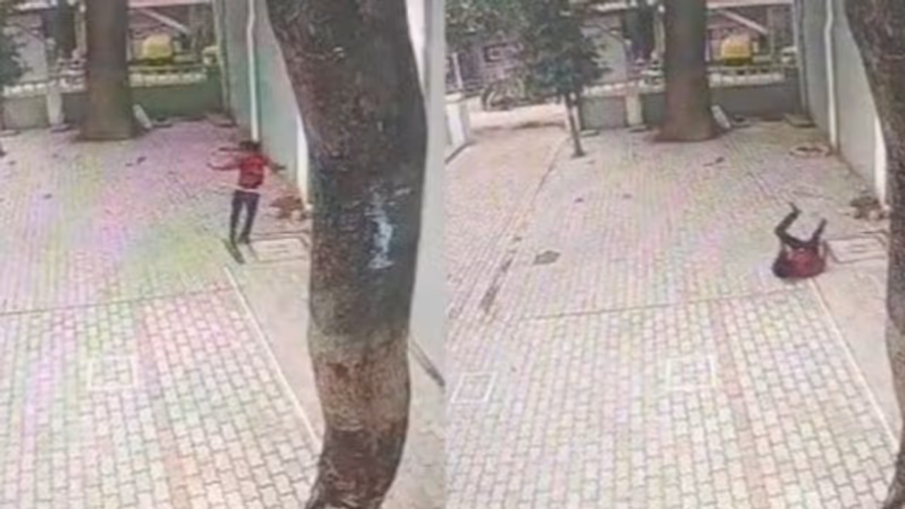 ജയിലിന്റെ 40 അടി ഉയരമുള്ള മതില് ചാടി ബലാത്സംഗ കേസിലെ പ്രതി; വീഡിയോ പുറത്ത് ജയിലിന്റെ 40 അടി ഉയരമുള്ള മതില് ചാടി ബലാത്സംഗ കേസിലെ പ്രതി; വീഡിയോ പുറത്ത്