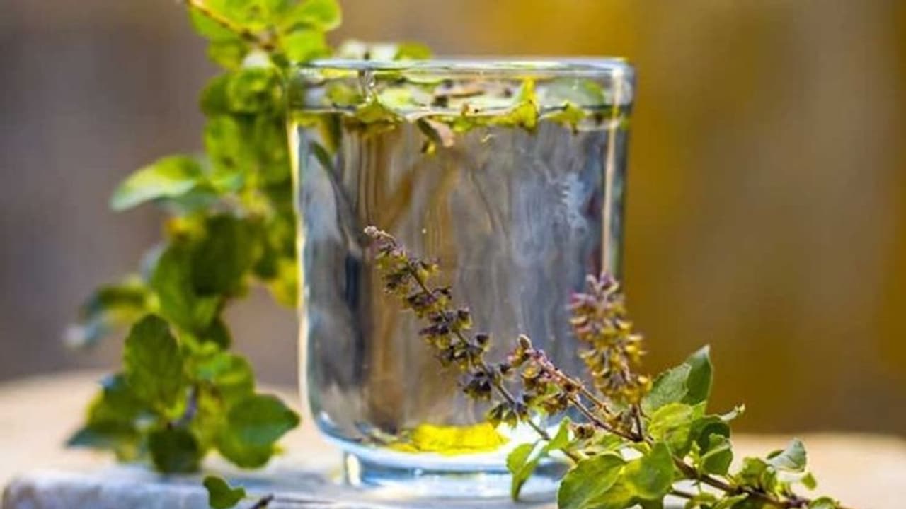 Health hacks: 5 surprising benefits of Tulsi Water