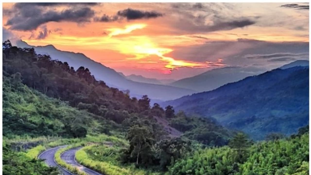 ജതിംഗ; വെളിച്ചം തേടി പറന്ന് ആത്മഹത്യ ചെയ്യുന്ന പക്ഷികളുടെ ഗ്രാമം