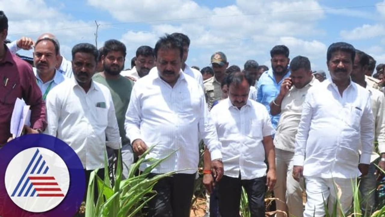 ಸೆಪ್ಟೆಂಬರ್ ಮೊದಲ ವಾರದಲ್ಲಿ ಬರ ಘೋಷಣೆ ತೀರ್ಮಾನ: ಕೃಷಿ ಸಚಿವ ಚಲುವರಾಯಸ್ವಾಮಿ