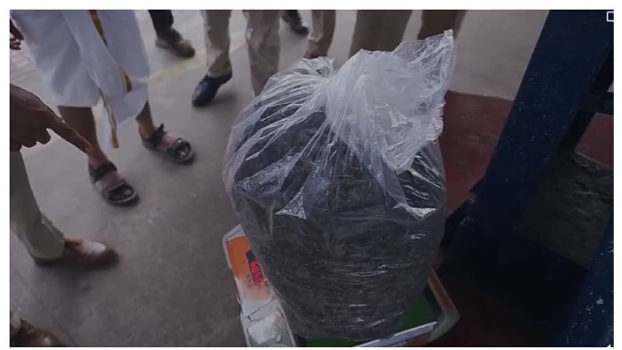 മീൻ കയറ്റുന്ന പിക്കപ്പ് വാനില് കഞ്ചാവ്, കോഴിക്കോട് ലഹരിമരുന്നിനെതിരായ നിരീക്ഷണം ശക്തം മീൻ കയറ്റുന്ന പിക്കപ്പ് വാനില് കഞ്ചാവ്, കോഴിക്കോട് ലഹരിമരുന്നിനെതിരായ നിരീക്ഷണം ശക്തം