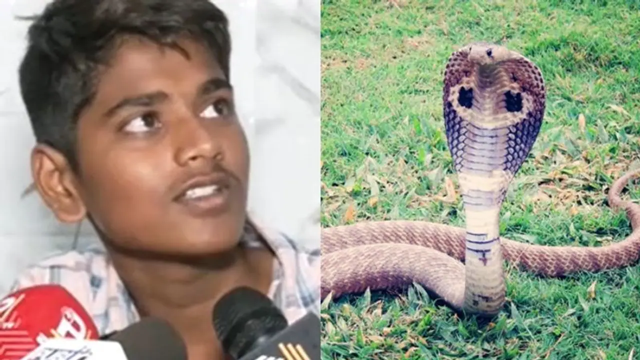 Karnataka: 15 year old survives snake bites, 9 times in two months Karnataka: 15 year old survives snake bites, 9 times in two months
