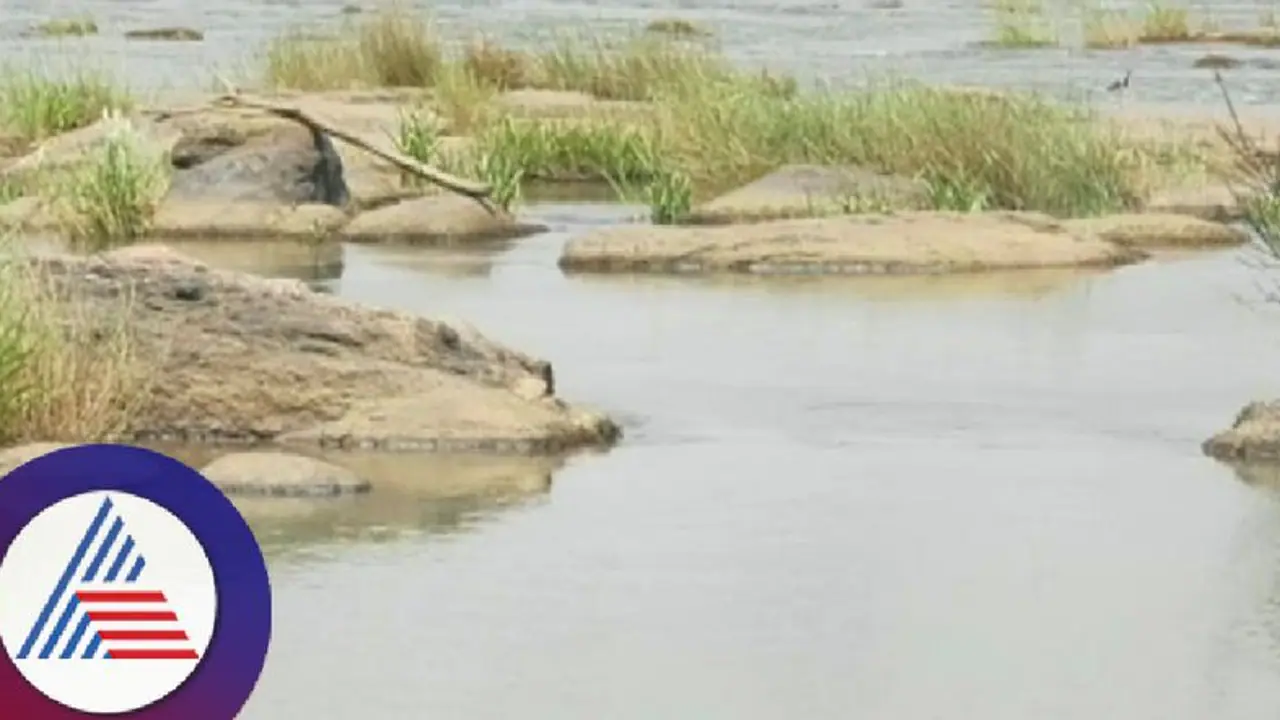 Drying Cauvery river raises concerns in Kodagu: Farmers question govt’s decision of releasing water to TN