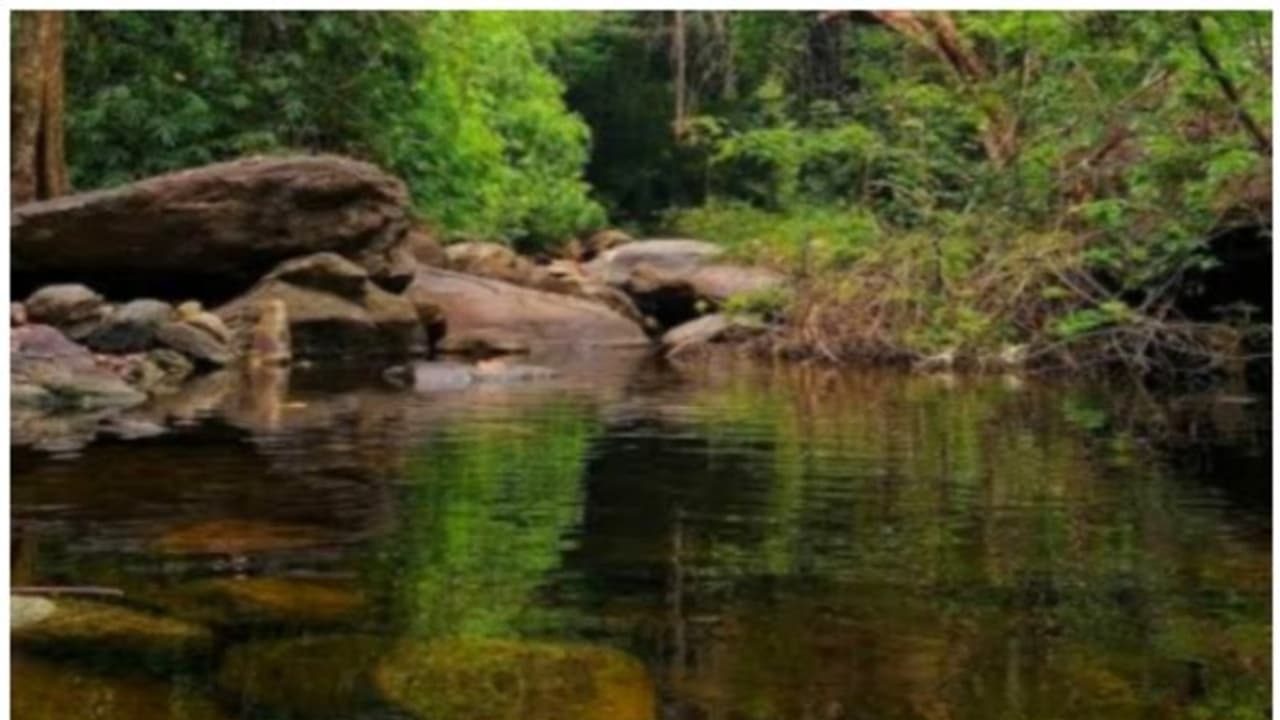 ഇക്കോ ടൂറിസം സെന്ററിൽ ഒഴുക്കിൽപ്പെട്ട് കാണാതായ യുവതി മരിച്ചു ഇക്കോ ടൂറിസം സെന്ററിൽ ഒഴുക്കിൽപ്പെട്ട് കാണാതായ യുവതി മരിച്ചു