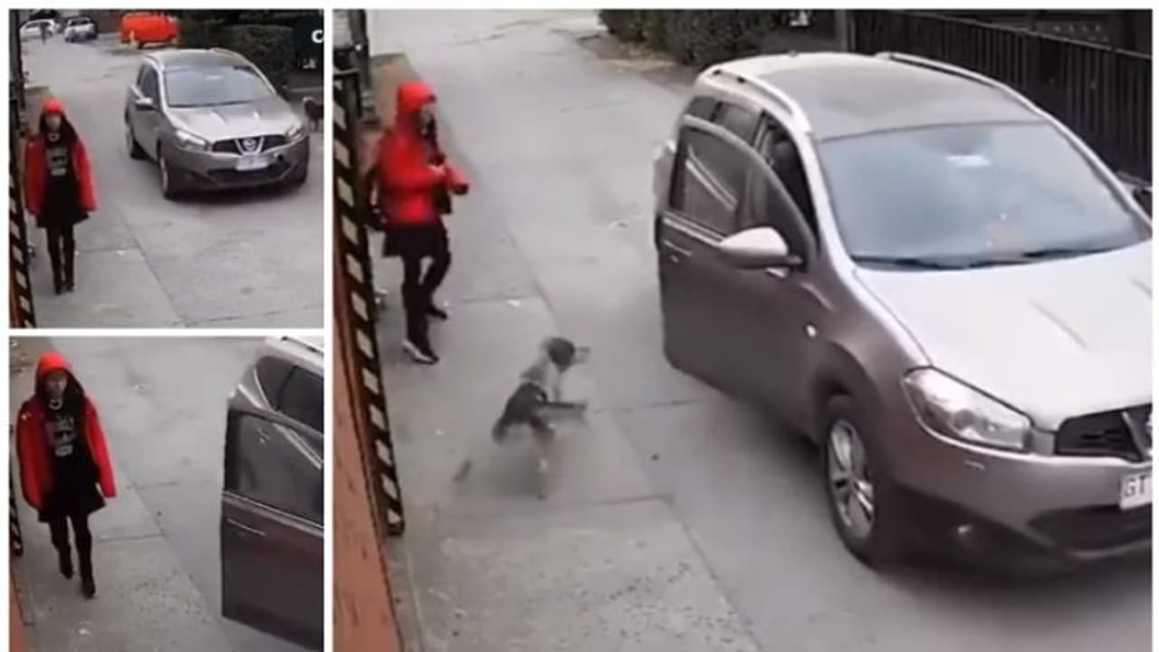 പട്ടാപ്പകല്‍ പെണ്‍കുട്ടിയെ തട്ടിക്കൊണ്ട് പോകാനുള്ള ശ്രമം തടയുന്ന തെരുവ് നായയുടെ വീഡിയോ വൈറല്‍ !