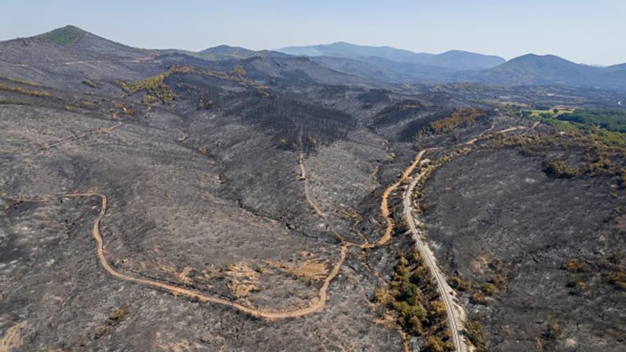 കാലാവസ്ഥാ വ്യതിയാനം; അടുത്ത നൂറ്റാണ്ടില്‍ 100 കോടി മനുഷ്യരെ മരണത്തിലേക്ക് നയിക്കുമെന്ന് പഠനം 
