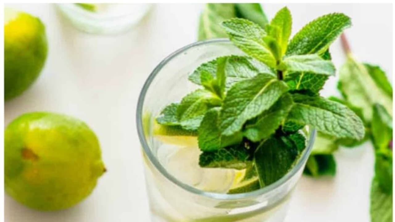 ദാഹവും ക്ഷീണവും അകറ്റാൻ പുതിനയില കൊണ്ടുള്ള ഒരു ഹെൽത്തി ഡ്രിങ്ക് ; ഈസി റെസിപ്പി ദാഹവും ക്ഷീണവും അകറ്റാൻ പുതിനയില കൊണ്ടുള്ള ഒരു ഹെൽത്തി ഡ്രിങ്ക് ; ഈസി റെസിപ്പി