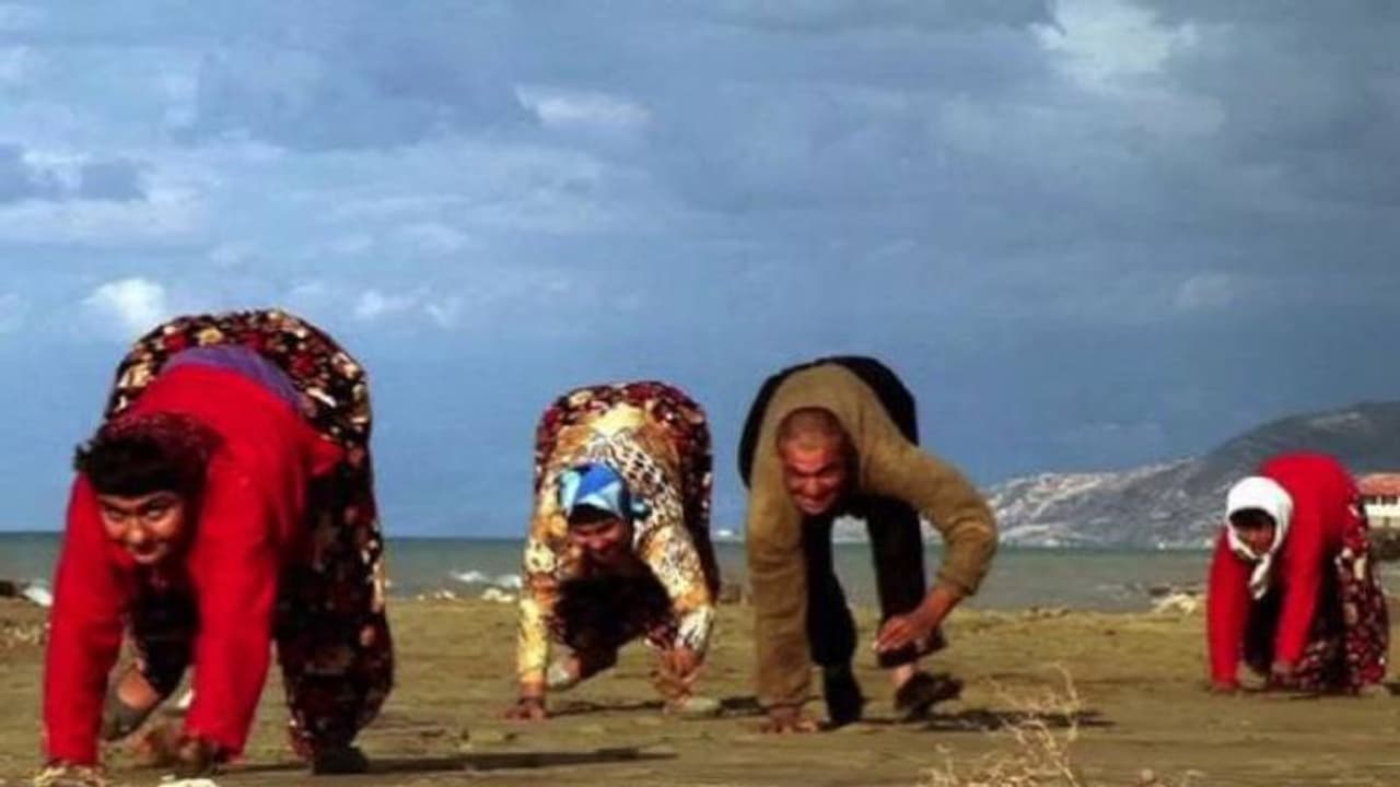 തുർക്കിയിലെ 'നാലുകാലിൽ നടക്കുന്ന' കുടുംബം, കാരണമെന്ത് എന്നത് ഉത്തരം കിട്ടാത്ത ചോദ്യം, കൂടാതെ ഒറ്റപ്പെടുത്തലും