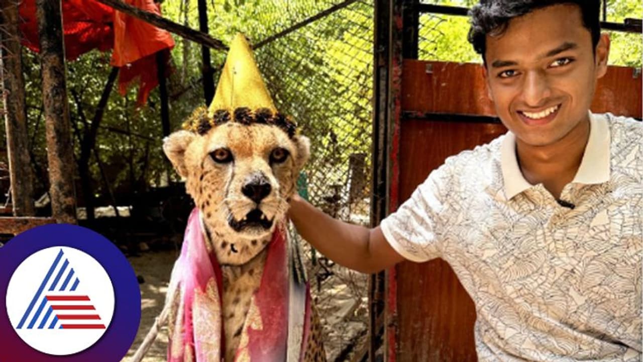 ‘Cheetah is the new King of Jungle’: Dr Bro’s viral humorous video