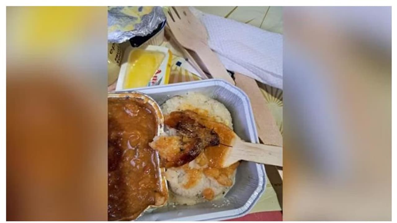 'സാമ്പാറിൽ ചത്ത പാറ്റ, പരാതിപ്പെട്ടപ്പോൾ വേപ്പിലയെന്ന് മറുപടി'; എയർ ഇന്ത്യക്കെതിരെ ആരോപണവുമായി യാത്രക്കാരൻ