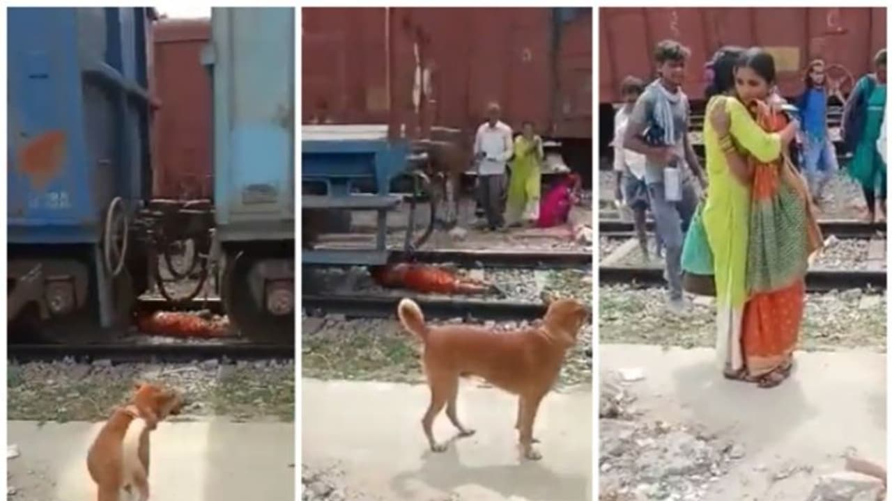 ഓടുന്ന ഗുഡ്സ് ട്രെയിനിന് അടിയില്‍ പാളത്തിന് നടുവിലായി കിടക്കുന്ന സ്ത്രീയുടെ വീഡിയോ വൈറല്‍ !