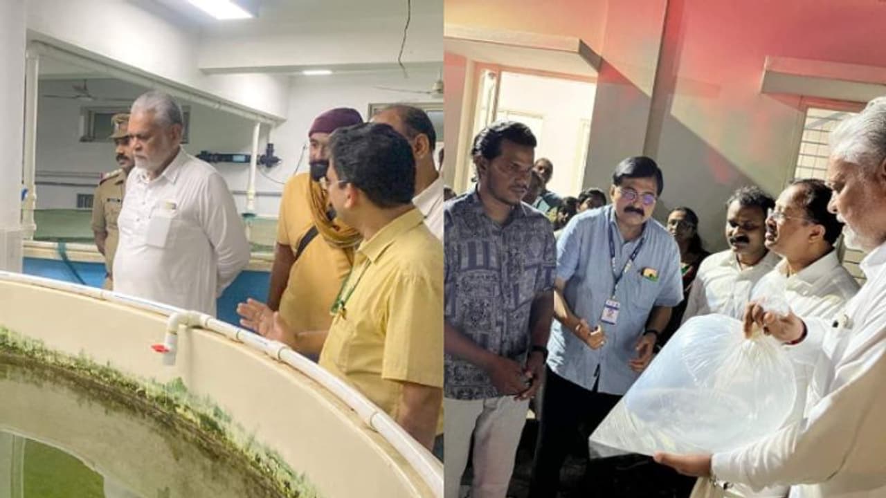 വിഴിഞ്ഞം ഫിഷ് ലാൻഡിങ് സെന്റർ നവീകരിക്കാൻ നടപടി സ്വീകരിക്കുമെന്ന് കേന്ദ്ര മന്ത്രി വിഴിഞ്ഞം ഫിഷ് ലാൻഡിങ് സെന്റർ നവീകരിക്കാൻ നടപടി സ്വീകരിക്കുമെന്ന് കേന്ദ്ര മന്ത്രി