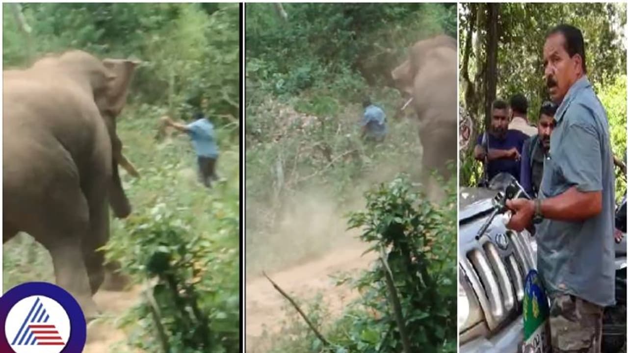 Hassan: Forest guard killed while trying to help wounded wild elephant, forest dept faces flak