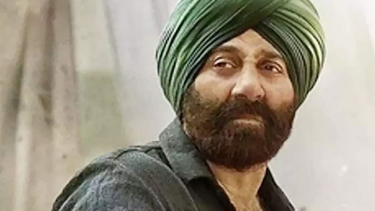 ബോളിവുഡിനെ വിസ്‍മയിപ്പിച്ച് 'ഗദര്‍ 2', കളക്ഷനില്‍ കുതിപ്പ്