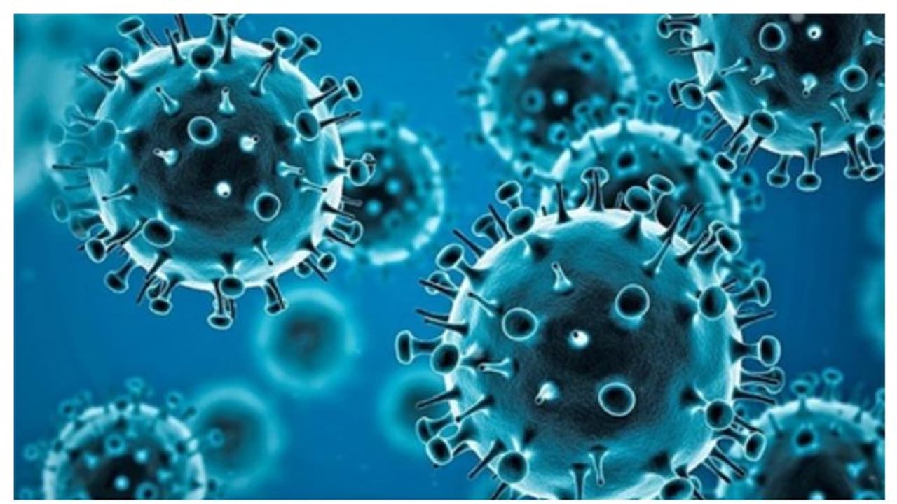 Expert's alarming warning! Disease X poses threat deadlier than Covid 19; could kill 50 million people