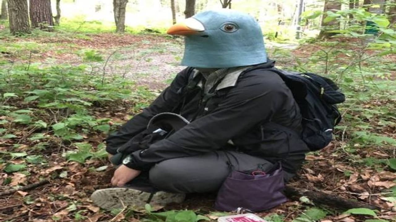 വർഷം മുഴുവനും പക്ഷി മാസ്കും ധരിച്ച് ഒരു മനുഷ്യൻ കാട്ടിൽ, കാരണം... 