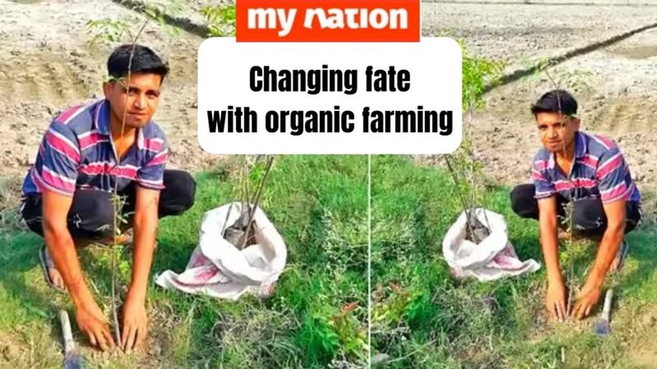 Skipping the dream of joining the army, Sarvesh is now a farmer and grows his crops organically