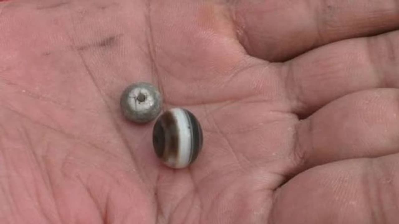 ഭൂമിക്കടിയിൽ മുത്തുകളുടെ കലവറ, അതിരാവിലെയെത്തി കുഴിക്കാൻ കുട്ടികൾ മുതൽ പ്രായമായവർ വരെ... ഭൂമിക്കടിയിൽ മുത്തുകളുടെ കലവറ, അതിരാവിലെയെത്തി കുഴിക്കാൻ കുട്ടികൾ മുതൽ പ്രായമായവർ വരെ...