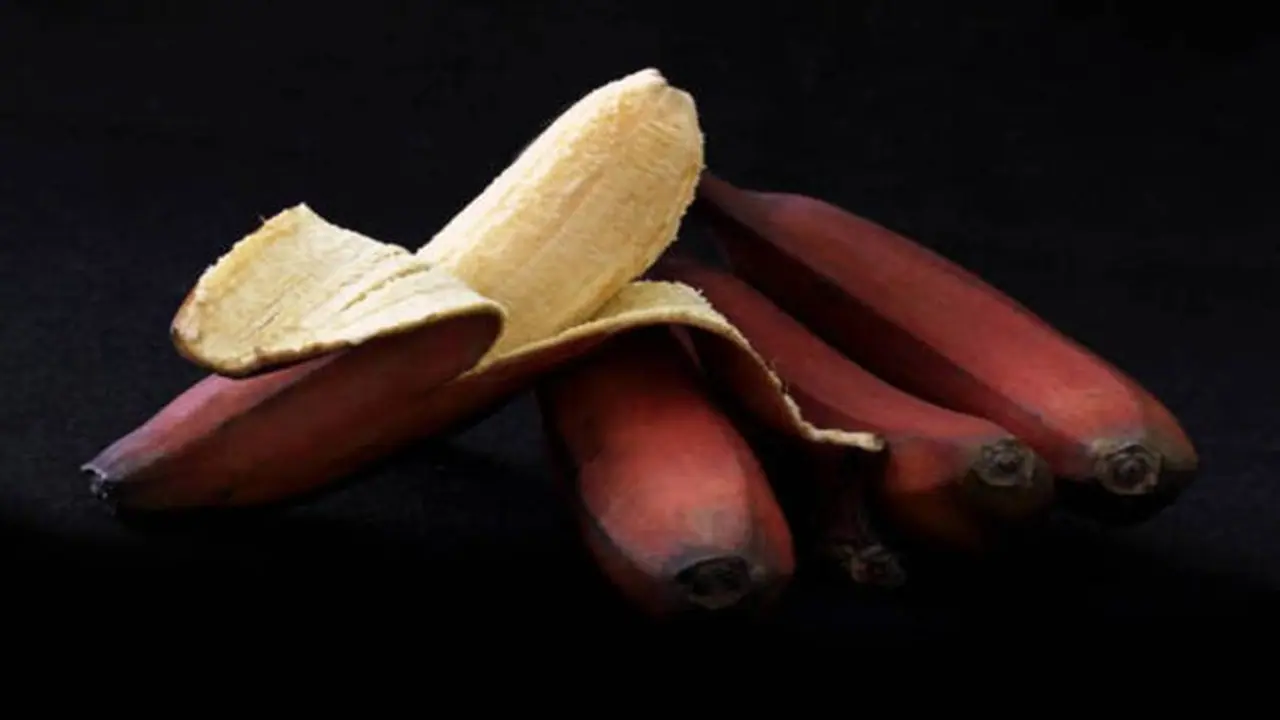 காலையில் வெறும் வயிற்றில் செவ்வாழை சாப்பிட்டால்... நடக்கும் அதிசயத்தை நீங்களே பாருங்க