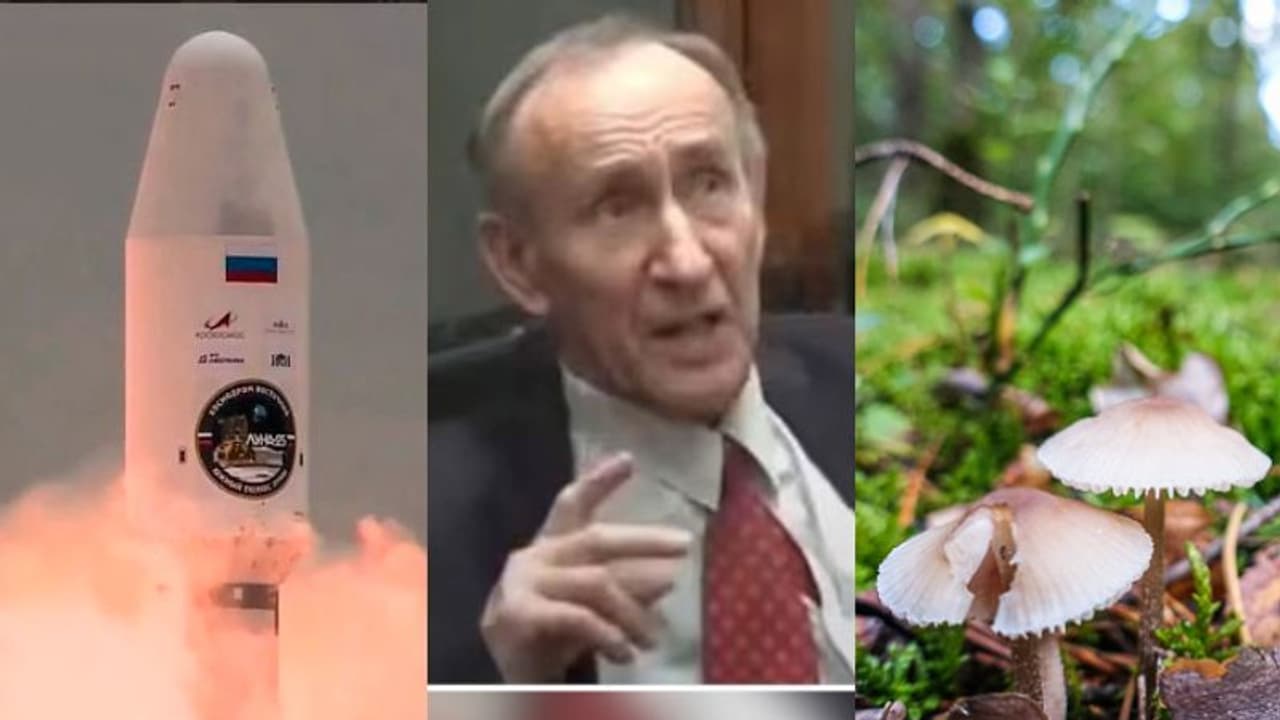 കൂണിൽ നിന്നുള്ള വിഷബാധ, റഷ്യൻ ബഹിരാകാശ ശാസ്ത്രജ്ഞന് ദാരുണാന്ത്യം, മരണം ലൂണ 25 തകർന്നതിന് പിന്നാലെ