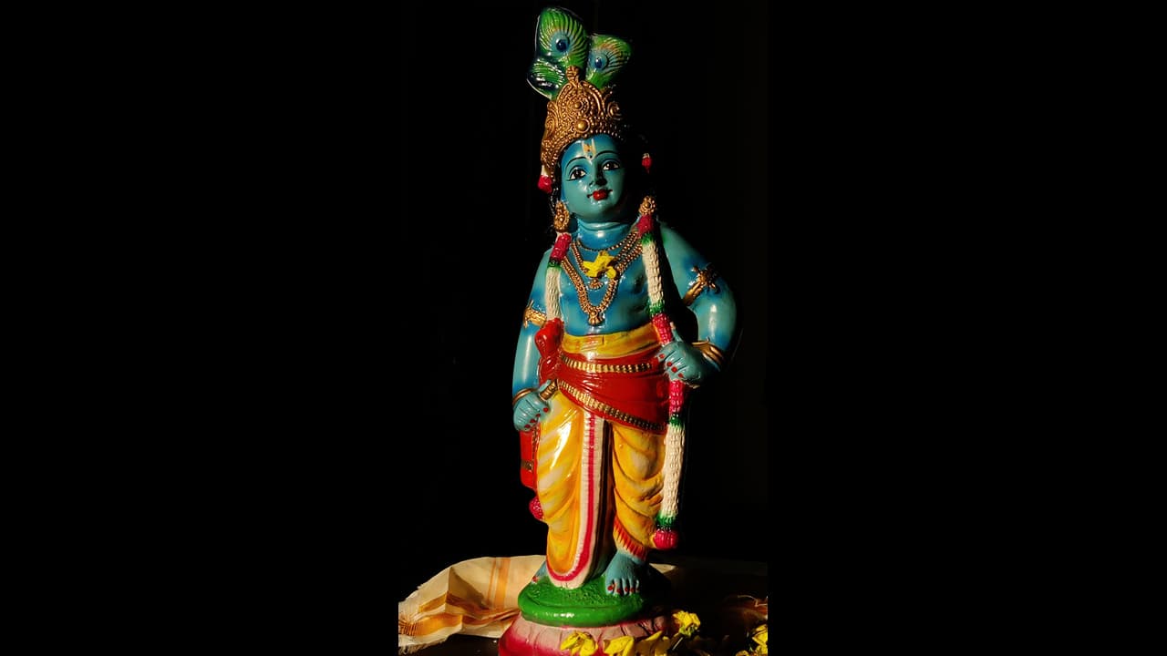 Shri Krishna: ಜನ್ಮಾಷ್ಟಮಿಯಂದು ಈ 8 ವಸ್ತುಗಳನ್ನು ಮನೆಗೆ ತನ್ನಿ, ಸಮೃದ್ಧಿ ಹೆಚ್ಚಾಗುತ್ತದೆ