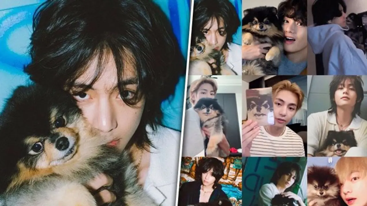 BTS singer V aka Kim Taehyung's 7 year old dog, Tan undergoes heart surgeries; makes fans emotional with post BTS singer V aka Kim Taehyung's 7 year old dog, Tan undergoes heart surgeries; makes fans emotional with post