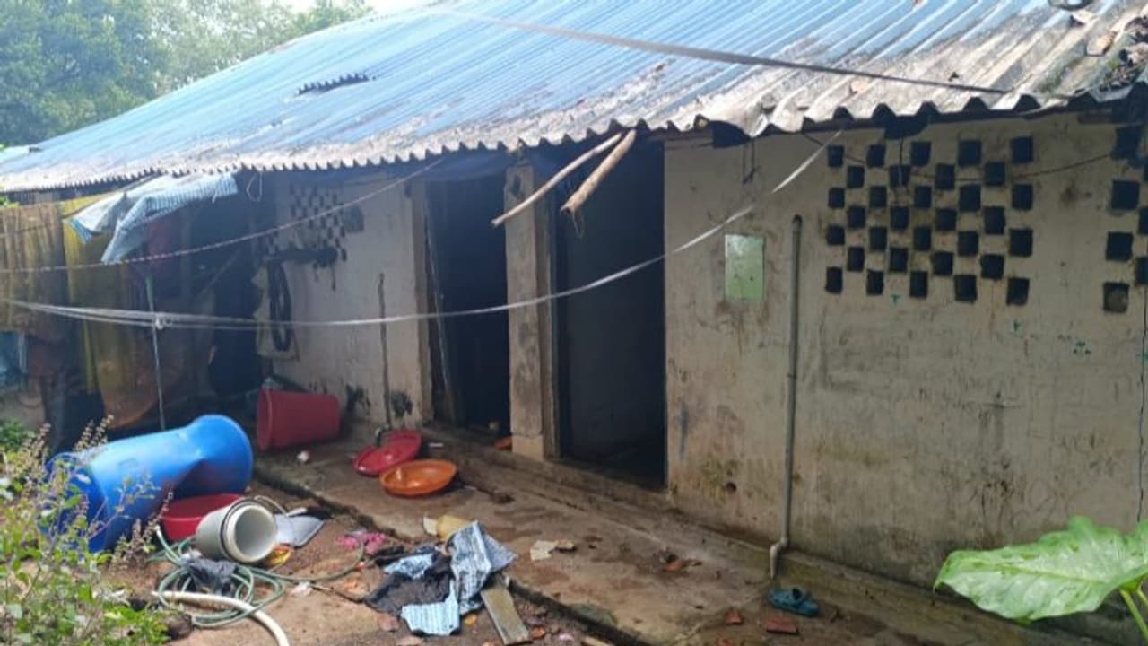 വീടിന് നേരെ കാട്ടാന ആക്രമണം; വാതിലും ജനലുകളും തകര്‍ത്തു