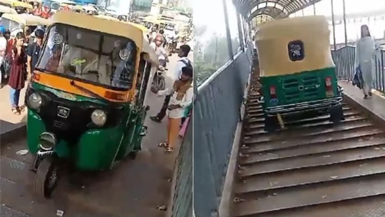 Viral Video: பாலம் என்ன உங்க அப்பன் வீட்டு சொத்தா.. ஆட்டோவை பாலத்தில் ஏற்றிய ஓட்டுனரை அலேக்காக தூக்கிய போலீஸ்