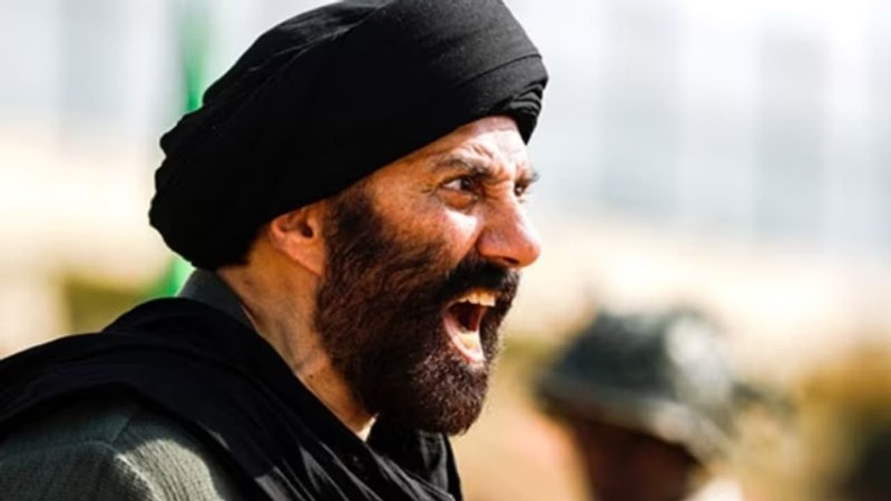 24 ാം ദിവസവും എട്ട് കോടി! 'ഗദര് 2' ന്റെ ഇതുവരെയുള്ള കണക്ക് പുറത്തുവിട്ട് നിര്മ്മാതാക്കള് 24 ാം ദിവസവും എട്ട് കോടി! 'ഗദര് 2' ന്റെ ഇതുവരെയുള്ള കണക്ക് പുറത്തുവിട്ട് നിര്മ്മാതാക്കള്