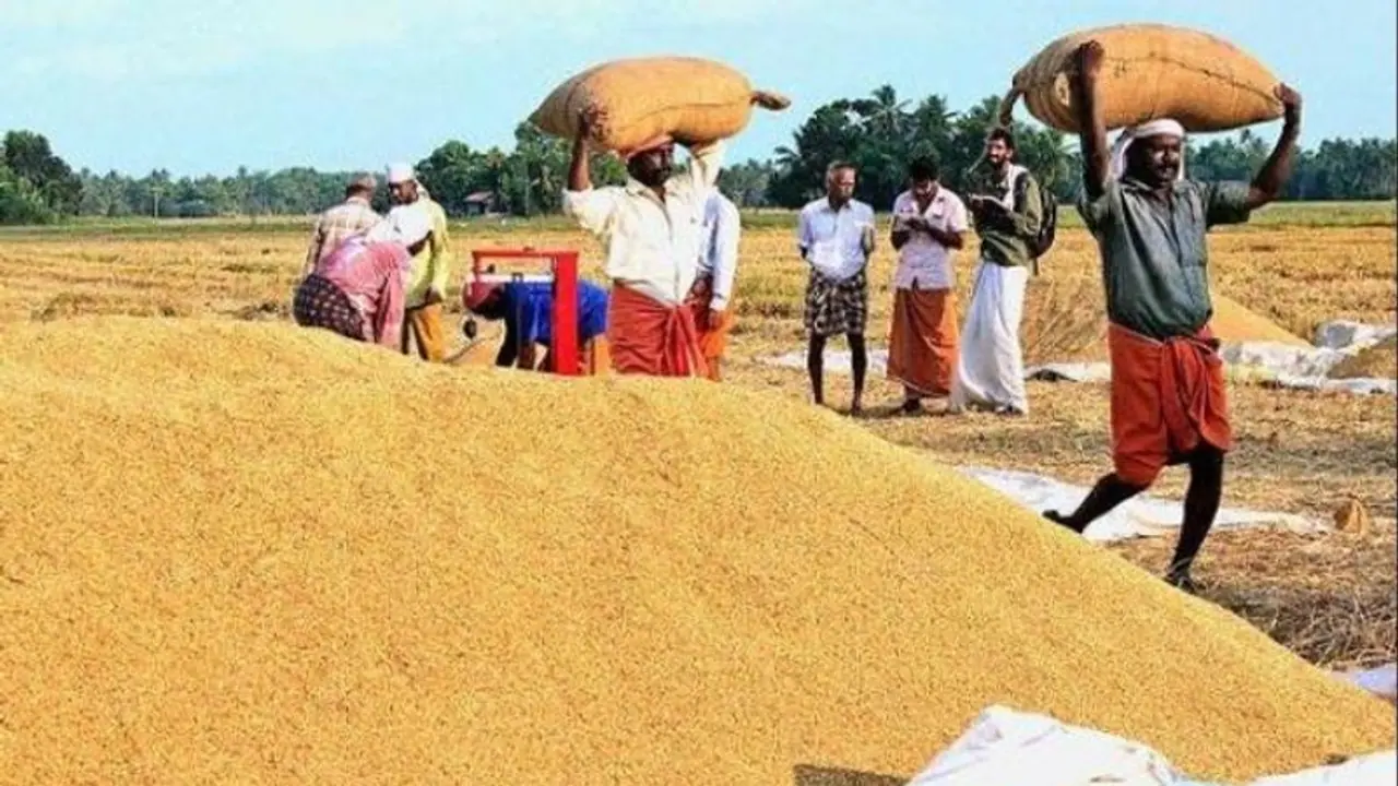 നെല്ലിന് കേന്ദ്രം താങ്ങുവില കൂട്ടിയപ്പോൾ, കുത്തനെ കുറച്ച് കേരളം; കർഷകർക്ക് നിരാശ