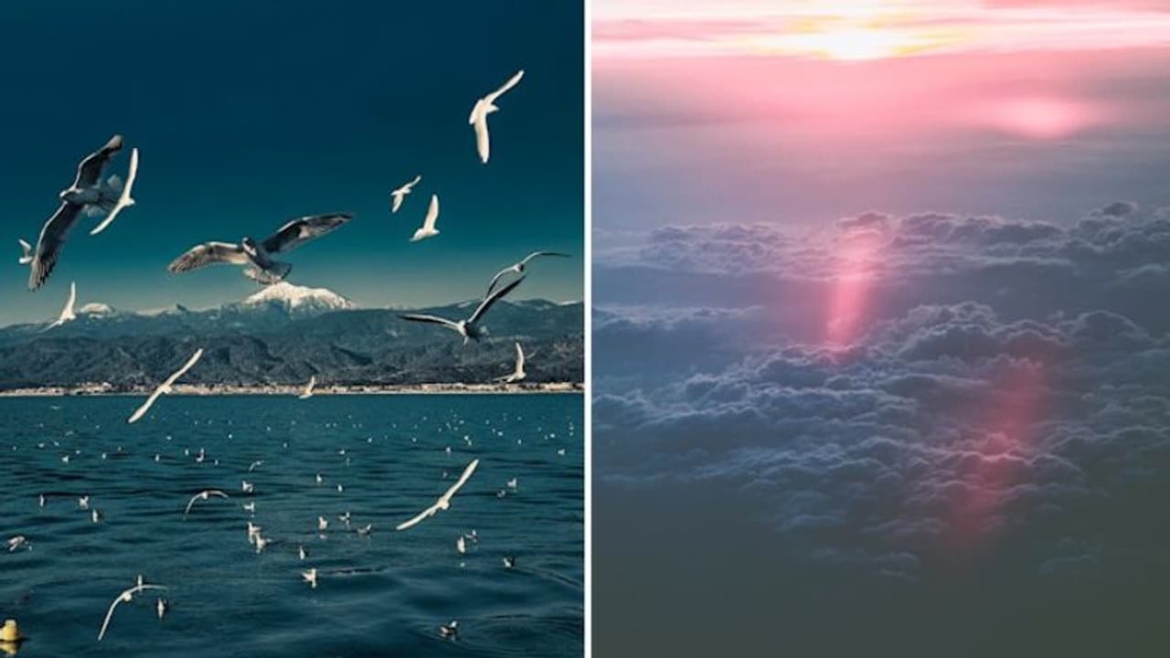 International Day of Clean Air 2023: Breathing life into a sustainable future International Day of Clean Air 2023: Breathing life into a sustainable future