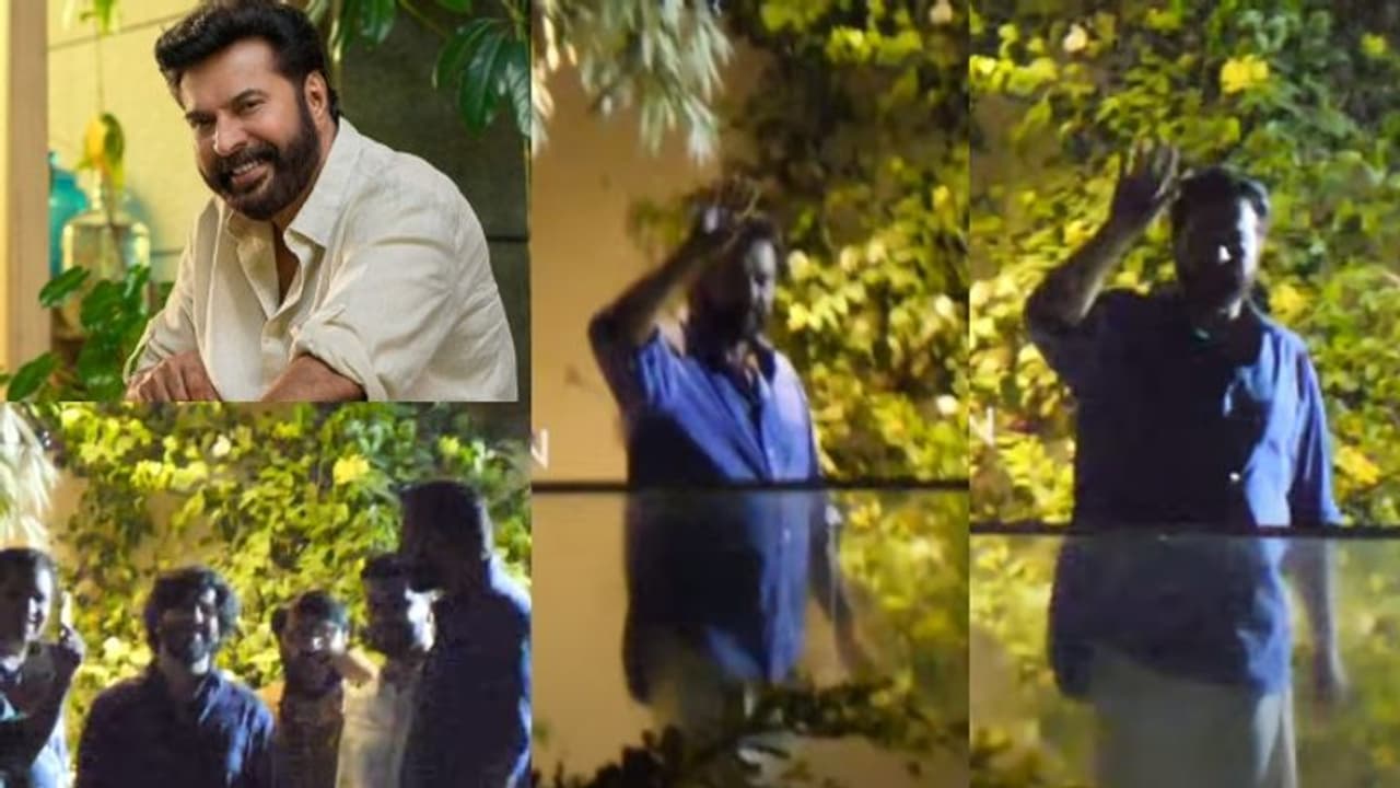 ആർപ്പുവിളികളും, ആശംസകളും; മമ്മൂട്ടിയുടെ വീടിന് മുന്നിൽ ആരാധക ആവേശം, ഒടുവിൽ താരമെത്തി ആർപ്പുവിളികളും, ആശംസകളും; മമ്മൂട്ടിയുടെ വീടിന് മുന്നിൽ ആരാധക ആവേശം, ഒടുവിൽ താരമെത്തി