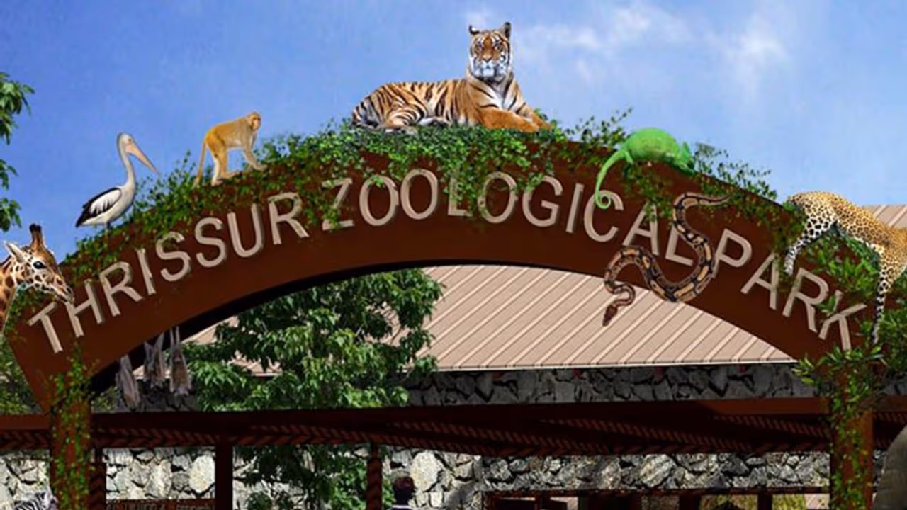 പുത്തൂരിലേക്ക് പക്ഷിമൃഗാധികള്; ആറ് മന്ത്രിമാര്, രണ്ട് ഘോഷയാത്രകള്, വന്ആഘോഷമാക്കാന് തീരുമാനം പുത്തൂരിലേക്ക് പക്ഷിമൃഗാധികള്; ആറ് മന്ത്രിമാര്, രണ്ട് ഘോഷയാത്രകള്, വന്ആഘോഷമാക്കാന് തീരുമാനം