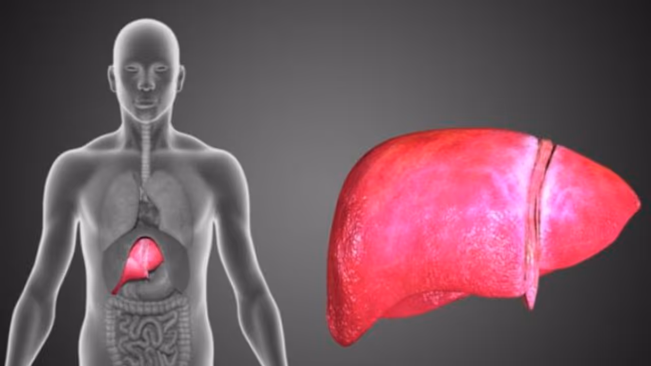 ഫാറ്റി ലിവര്‍ രോഗം; ഡയറ്റില്‍ ഉള്‍പ്പെടുത്താം ഈ അഞ്ച് ഭക്ഷണങ്ങള്‍... 