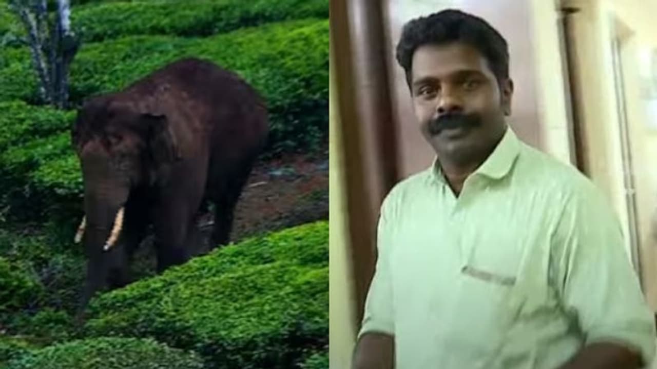 പുതുപ്പള്ളിക്കെന്ത് അരിക്കൊമ്പന്‍, നോട്ടയ്ക്കും പിന്നിലായി അരിക്കൊമ്പന്‍ സ്ഥാനാര്‍ത്ഥി 