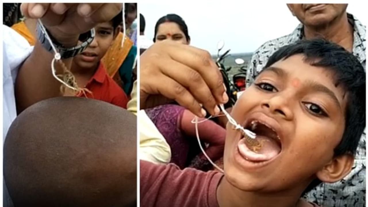 വിഷത്തേളിനെ വായില് വച്ച് ആരാധന; ആന്ധ്രാപ്രദേശിൽ നിന്നുള്ള വീഡിയോ വൈറല് ! വിഷത്തേളിനെ വായില് വച്ച് ആരാധന; ആന്ധ്രാപ്രദേശിൽ നിന്നുള്ള വീഡിയോ വൈറല് !