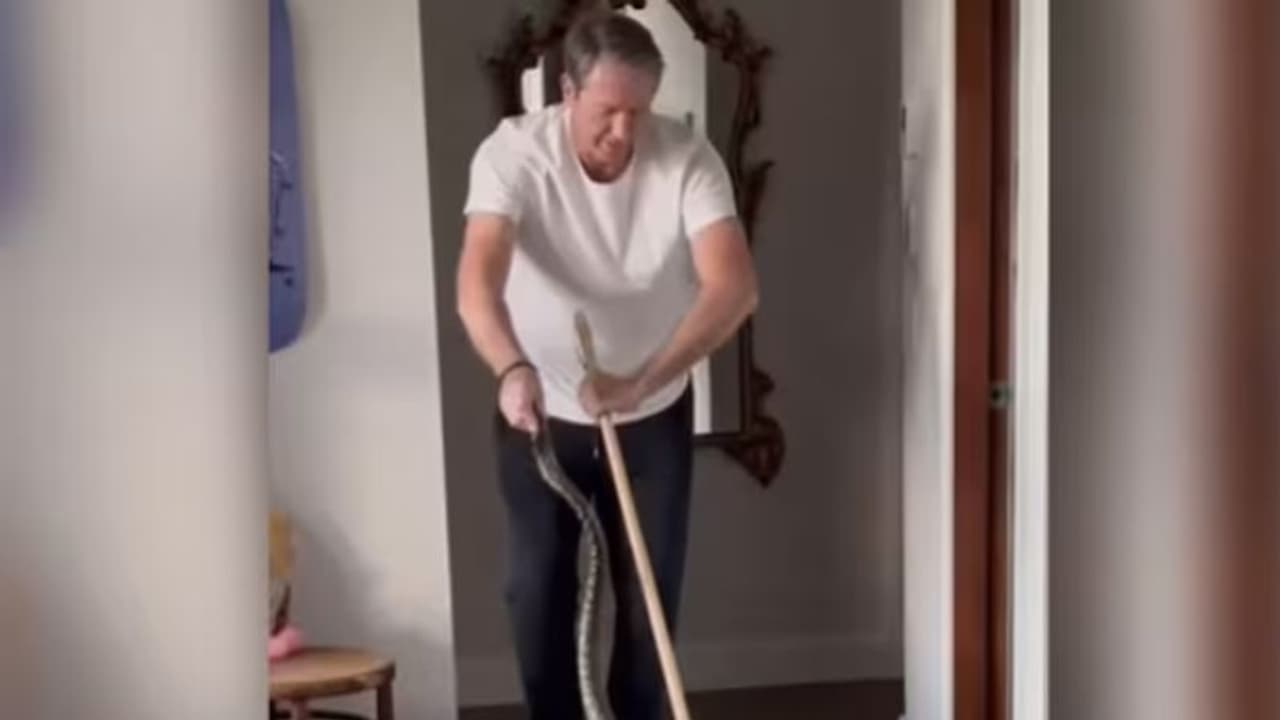 ഗ്ലെന് മക്ഗ്രാത്തിന്റെ വീടിനുള്ളിൽ അക്രമണോത്സുകനായി പെരുമ്പാമ്പ്; വിളിക്കാതെ എത്തിയ വിരുന്നുകാരനോട് ചെയ്തത് ഗ്ലെന് മക്ഗ്രാത്തിന്റെ വീടിനുള്ളിൽ അക്രമണോത്സുകനായി പെരുമ്പാമ്പ്; വിളിക്കാതെ എത്തിയ വിരുന്നുകാരനോട് ചെയ്തത്