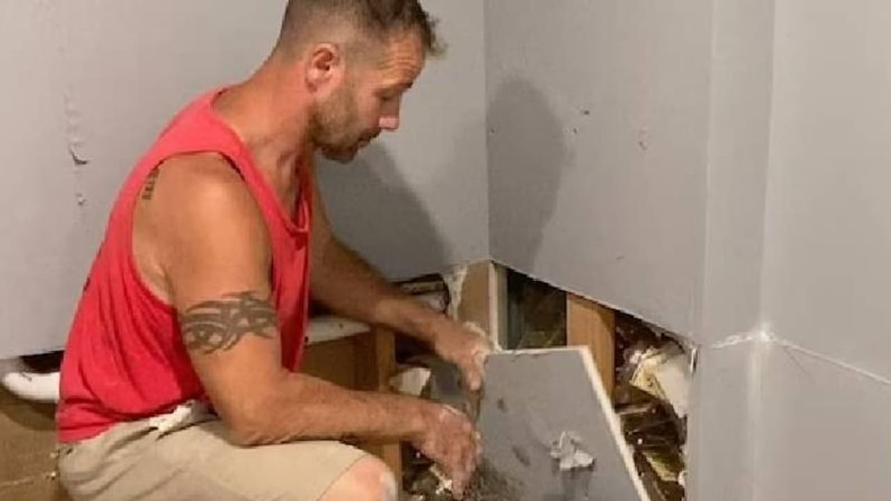 പുതുതായി വാങ്ങിയ വീടിന്റെ ചുമരിൽ ഒളിപ്പിച്ചുവച്ച നൂറുകണക്കിന് റം കുപ്പികൾ, കണ്ണുതള്ളി ദമ്പതികൾ..! പുതുതായി വാങ്ങിയ വീടിന്റെ ചുമരിൽ ഒളിപ്പിച്ചുവച്ച നൂറുകണക്കിന് റം കുപ്പികൾ, കണ്ണുതള്ളി ദമ്പതികൾ..!