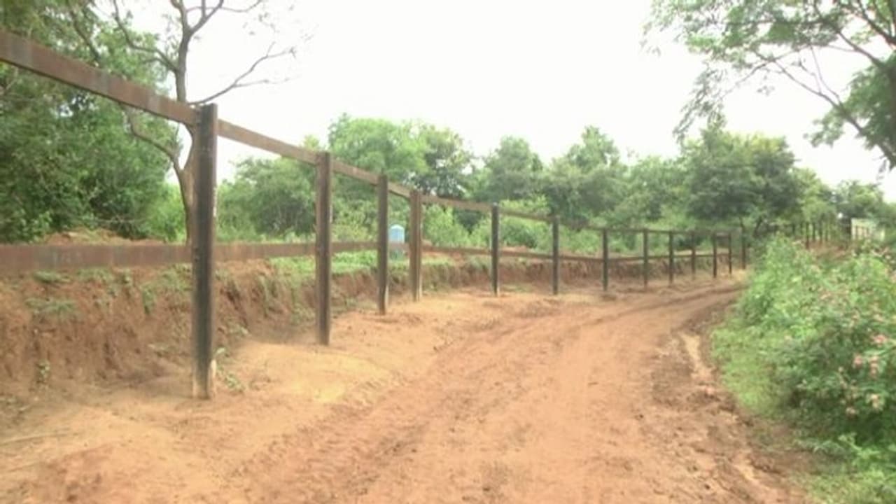 How Karnataka's Chamrajnagar is tackling elephant menace