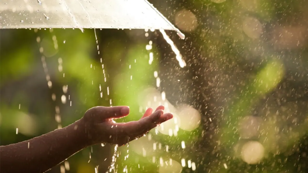 തീവ്ര ന്യൂനമർദം; സംസ്ഥാനത്ത് ശക്തമായ മഴ തുടരുന്നു; 5 ജില്ലകളിൽ യെല്ലോ അലർട്ട്