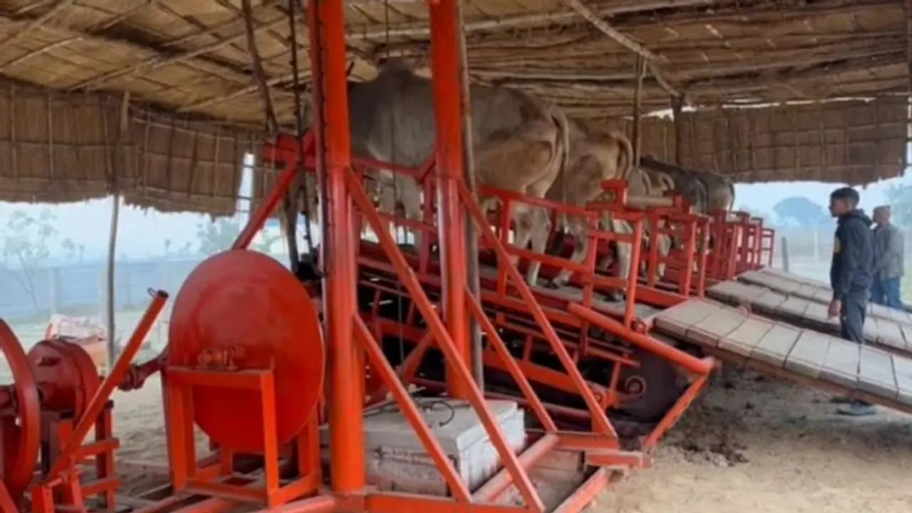 Creation and Innovation: Here’s how Shailendra Singh’s invention produces electricity with the help of bulls
