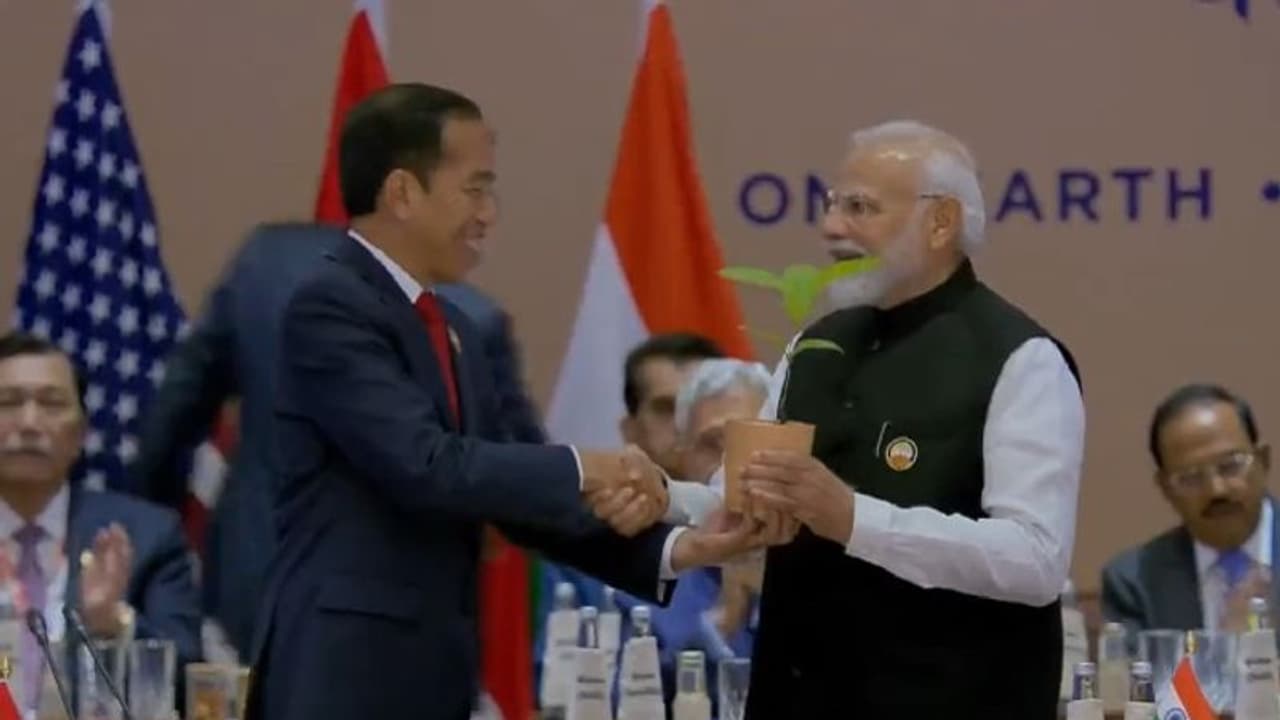 Tree of transition: G20 presidencies of 2022, 2024 hand over sapling to PM Modi | WATCH