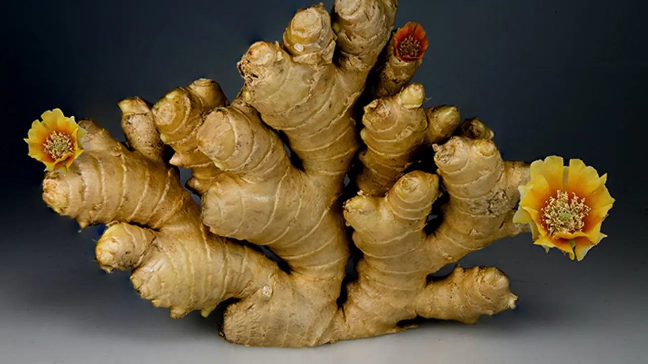7 healing benefits of Ginger 7 healing benefits of Ginger