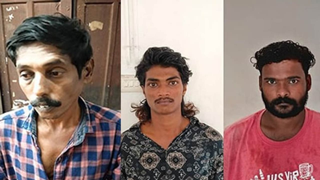 സംസ്ഥാനത്ത് വന്‍ കഞ്ചാവ് വേട്ട; യുവാക്കള്‍ അറസ്റ്റില്‍, എത്തിച്ചത് ആന്ധ്രയില്‍ നിന്ന് 