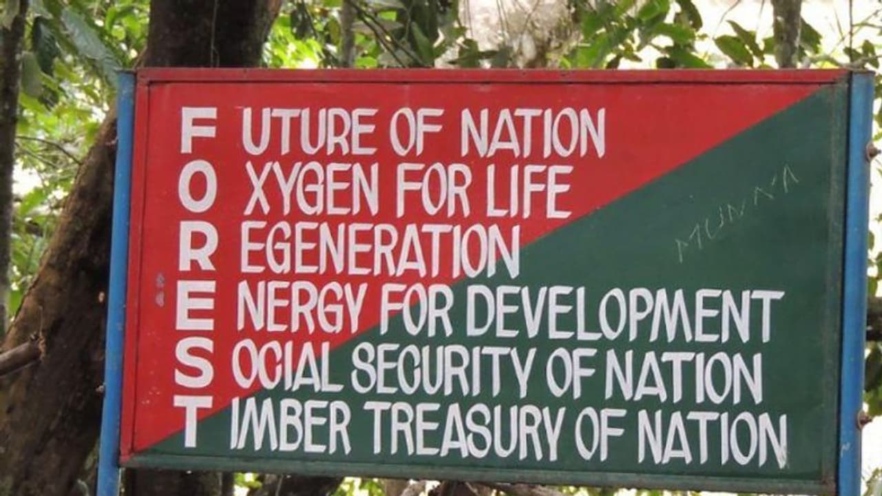 ഡിഎഫ്ഒയുടെ അന്ത്യശാസനം ഫലിച്ചില്ല, കടുംപിടിത്തം തുടർന്ന് ഉദ്യോഗസ്ഥര്, ബിഎഫ്ഒമാര്ക്ക് വിടുതല് നല്കിയില്ല ഡിഎഫ്ഒയുടെ അന്ത്യശാസനം ഫലിച്ചില്ല, കടുംപിടിത്തം തുടർന്ന് ഉദ്യോഗസ്ഥര്, ബിഎഫ്ഒമാര്ക്ക് വിടുതല് നല്കിയില്ല
