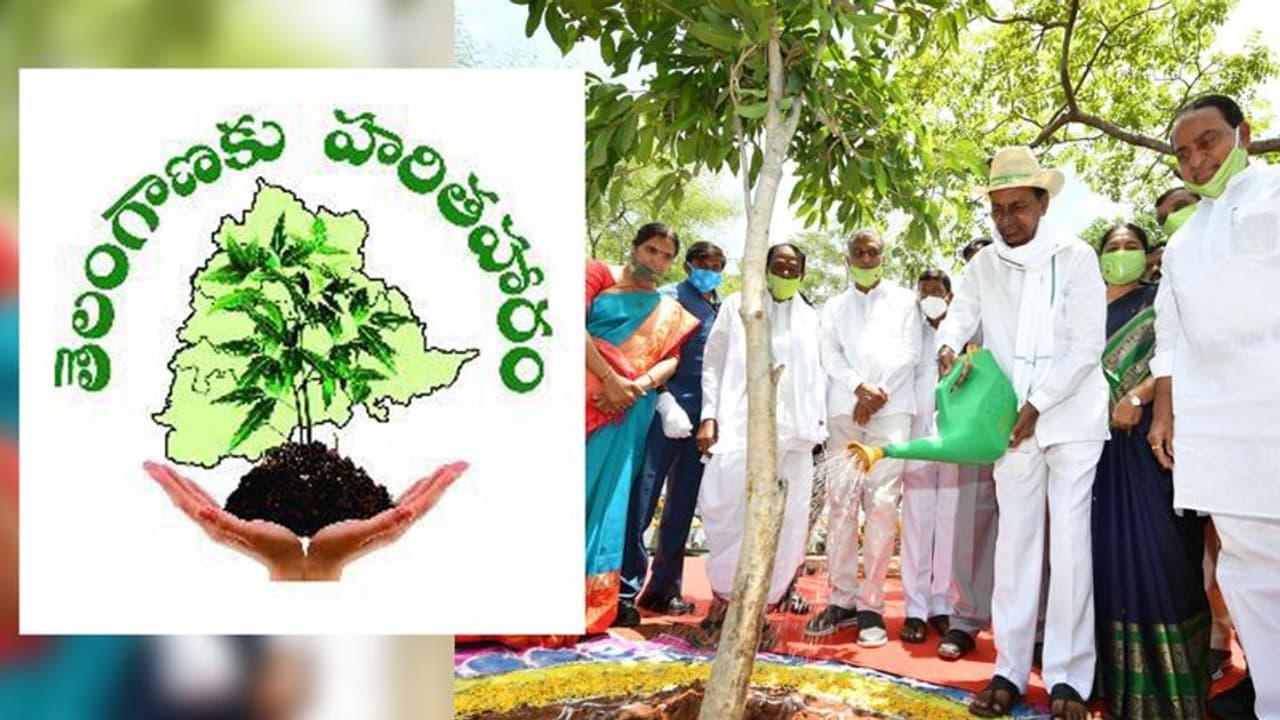 HarithaHaram: 'హరితహారం' అద్భుత ఫలితాలను ఇస్తోంది: సీఎం కేసీఆర్ HarithaHaram: 'హరితహారం' అద్భుత ఫలితాలను ఇస్తోంది: సీఎం కేసీఆర్